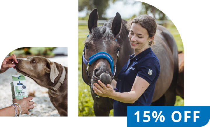 Hoeveler Banner Black Week Bilder Rabatt